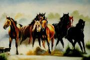 Horses 045